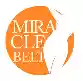  Miracle Belt